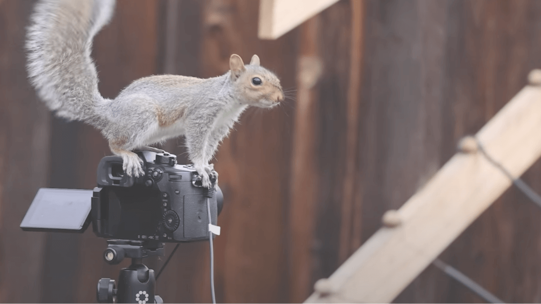 Mark Rober in a YouTube video