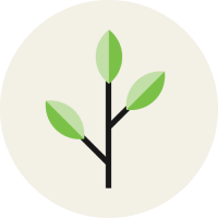 Personal Development Plans