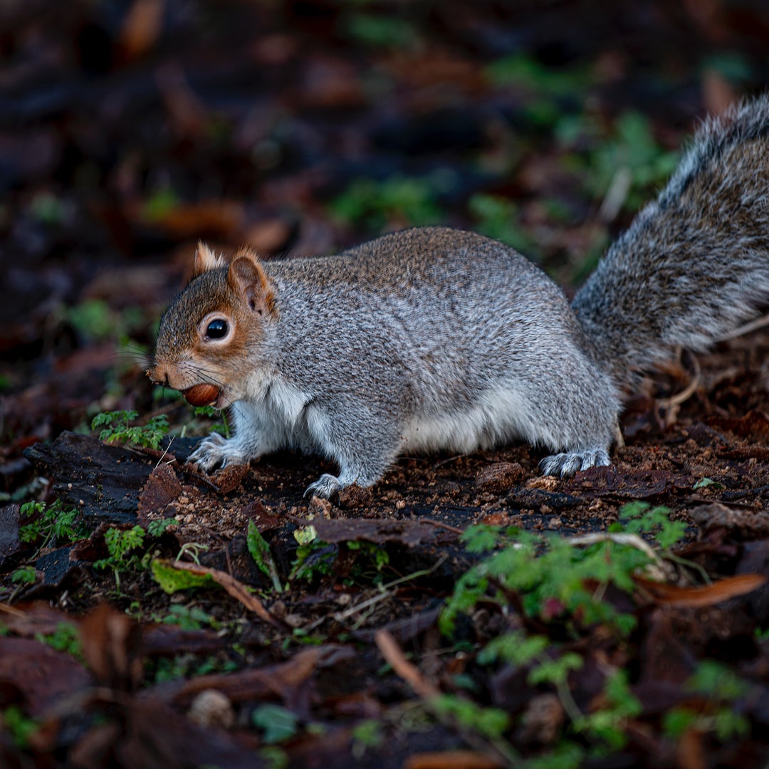 Image of Investing is putting money into an investment that you hope will net a return over a period of time. 