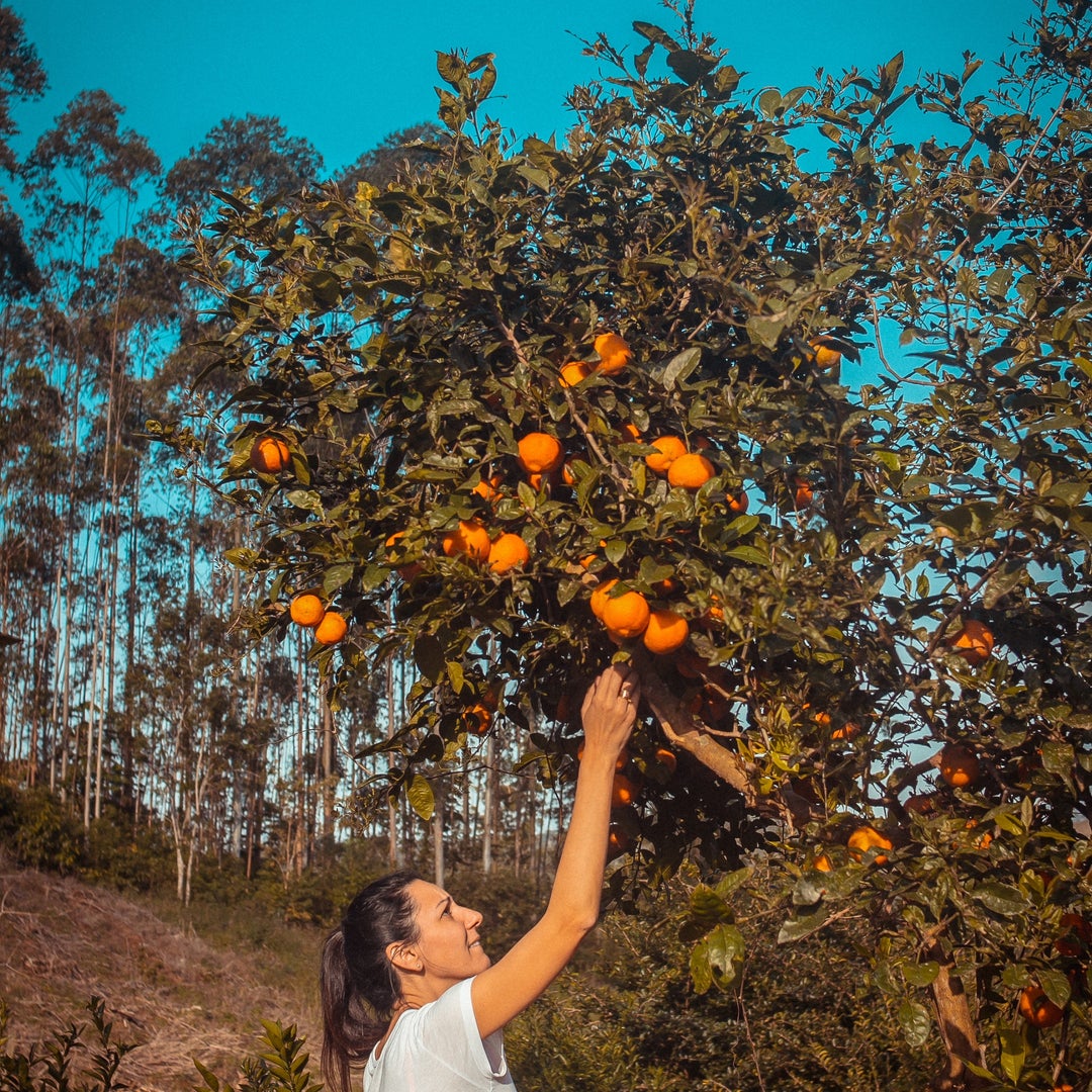 Image of Return on investment, or ROI, is a percentage that can help you understand the profitability of an investment. 