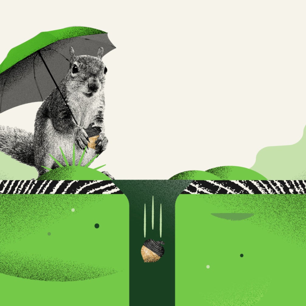 Image of New to Acorns: the Emergency Fund! This new feature helps you set money aside for emergencies, separate from your investments or spending money. 