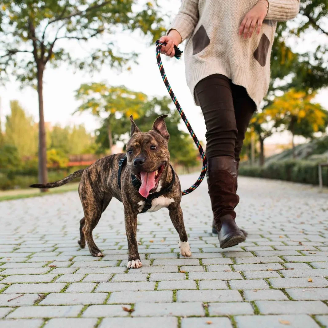 Image of Want to start a side hustle? Find out ways to add extra income to your bottom line using your skills and interests.